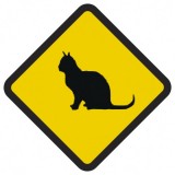 Śmieszne znaki drogowe z egzotycznymi zwierzętami (kot)