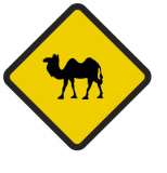 Śmieszne znaki drogowe z egzotycznymi zwierzętami (wielbłąd2)