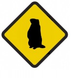 Śmieszne znaki drogowe z egzotycznymi zwierzętami (świstak)