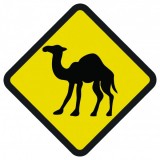 Tabliczka ze znakiem drogowym (wielbłąd)