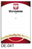 Wyróżnienie DE-04T (linie pomocnicze)