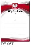 Wyróżnienie DE-06T (linie pomocnicze)