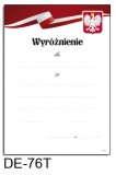 Wyróżnienie DE-76T (linie pomocnicze)