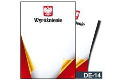 Wyróżnienie DE-14T z liniami pomocniczymi