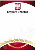 Dyplom Uznania DE-25