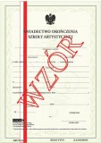 Świadectwo ukończenia szkoły artystycznej ART/11/w