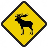 Śmieszne znaki drogowe z egzotycznymi zwierzętami (łoś)