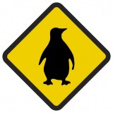 Śmieszne znaki drogowe z egzotycznymi zwierzętami (pingwin)